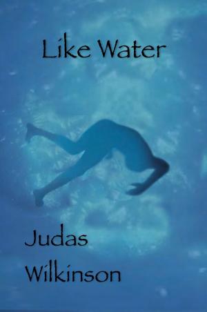 bigCover of the book Like Water by 