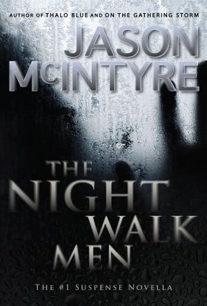Book cover of The Night Walk Men
