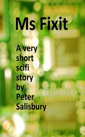 Cover of the book Ms Fixit by Sylvia Hawkins Little, Ph.D.