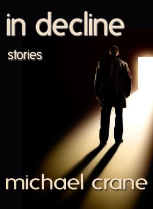 Book cover of In Decline (stories)