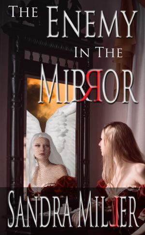 Book cover of The Enemy in the Mirror