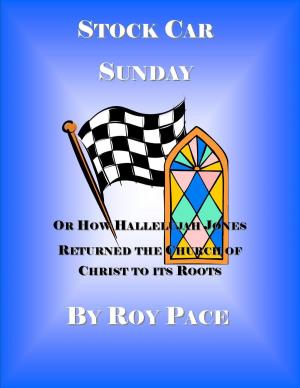 Cover of the book Stock Car Sunday by James Mullaney