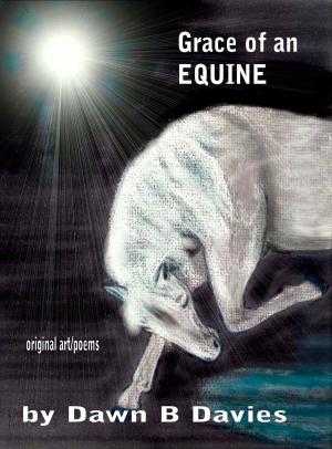 Cover of Grace of an Equine