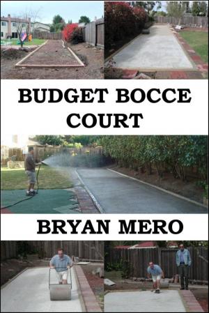Cover of the book Budget Bocce Court by Miquel J. Pavón Besalú