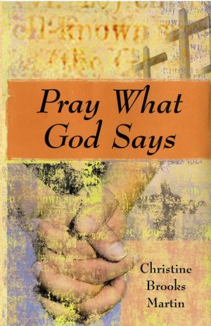 Book cover of Pray What God Says