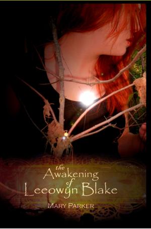 Cover of The Awakening of Leeowyn Blake