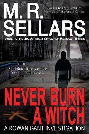 Cover of the book Never Burn A Witch: A Rowan Gant Investigation by Chris Sarantopoulos