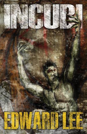 Cover of the book Incubi by Arthur Slade