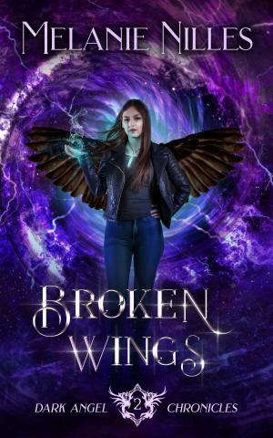 Cover of the book Broken Wings by Melanie Nilles