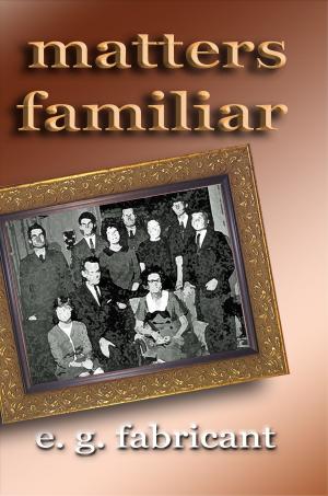 Cover of the book Matters Familiar by Stella Benson