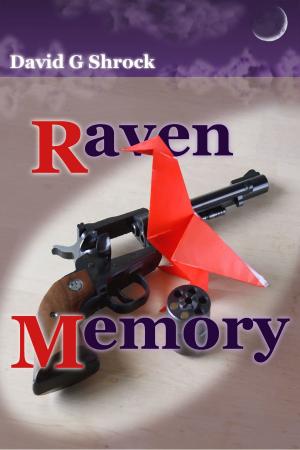 Cover of the book Raven Memory by David M. Bachman