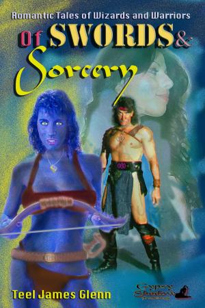 Book cover of Of Swords and Sorcery