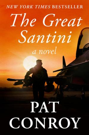 Cover of the book The Great Santini by Joan Aiken