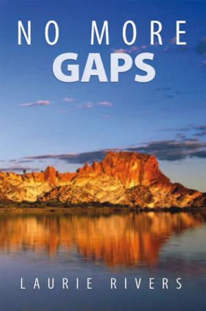 Cover of the book No More Gaps by Diana Karezi