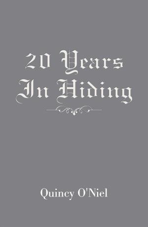 Cover of the book 20 Years in Hiding by Blaise Ramsay
