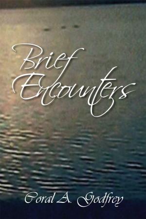 Cover of the book Brief Encounters by Macharia Gakuru