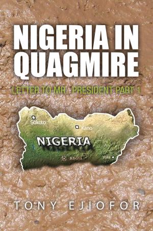 Cover of the book Nigeria in Quagmire by Jefferson Wiggins