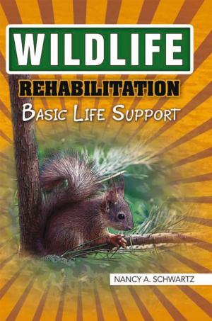 Book cover of Wildlife Rehabilitation