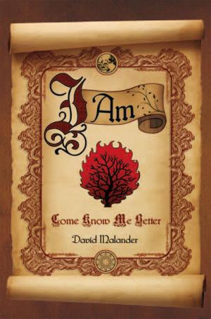 Cover of the book I Am by José M. Peña