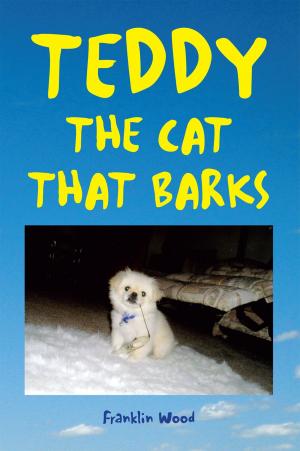 Cover of the book Teddy the Cat That Barks by Jon Seawright