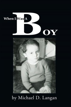 Cover of the book When I Was a Boy by Valerie Devone-Grimes