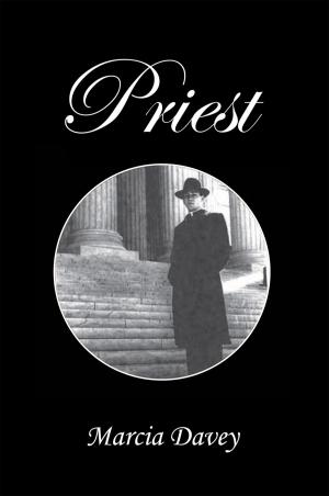 Cover of the book Priest by John Parker