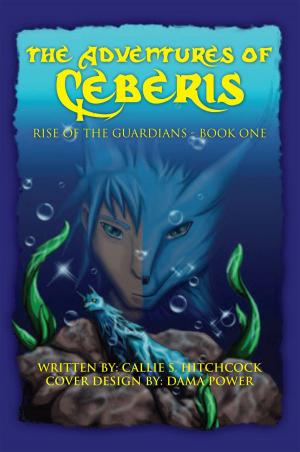 Cover of the book The Adventures of Ceberis by rondel case