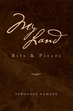 Cover of the book My Land by Fanuel A. Demas