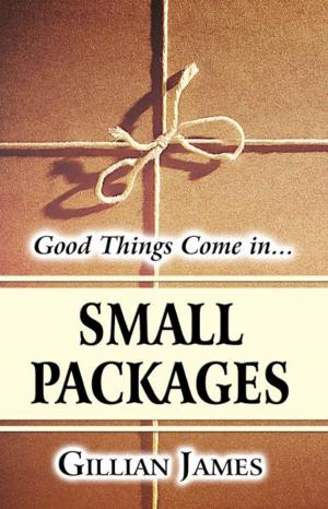 Cover of the book Small Packages by An Absentminded Professor