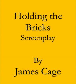 Book cover of Holding the Bricks