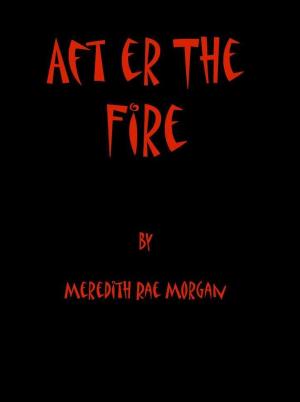 Cover of the book After the Fire by Kylie Ravera