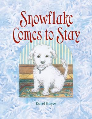Cover of Snowflake Comes to Stay