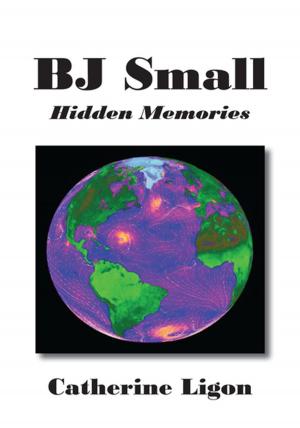 Cover of the book Bj Small by Hilde Oleson
