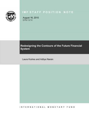 Cover of the book Redesigning the Contours of the Future Financial System by Rabah Mr. Arezki, Catherine  Ms. Pattillo, Marc Mr. Quintyn, Min Zhu