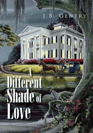 Cover of the book A Different Shade of Love by Dorila A. Marting