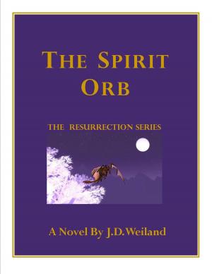 Book cover of The Spirit Orb