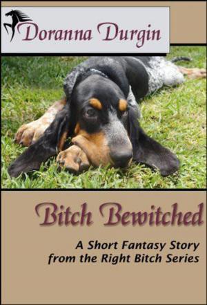 Book cover of Bitch Bewitched