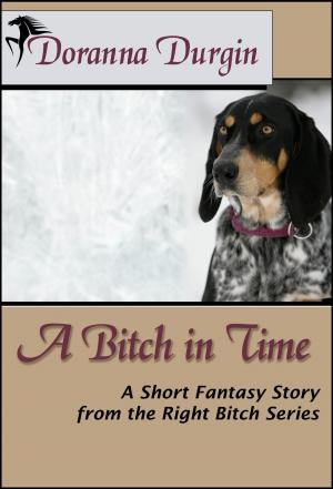 Book cover of A Bitch in Time