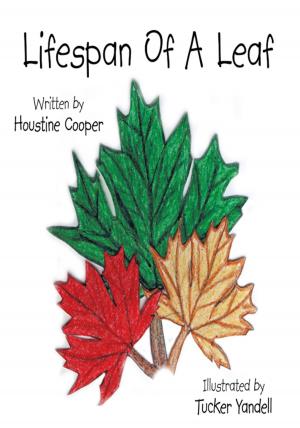 Cover of the book Lifespan of a Leaf by Michelle Hoover