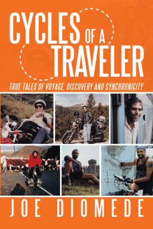 Cover of the book Cycles of a Traveler by M. R. R. Lopez