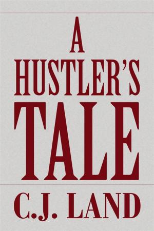 Cover of the book A Hustler's Tale by Italo Nicolai