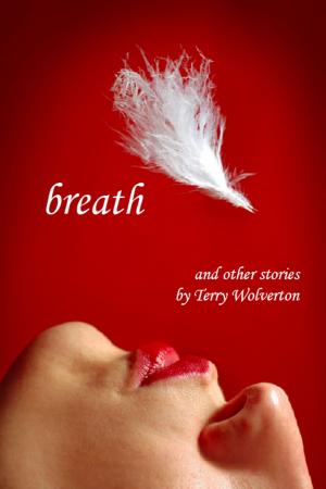bigCover of the book Breath and Other Stories by 