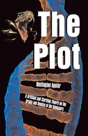 Cover of the book Plot, The by Kim Friesen