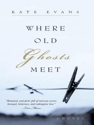 Cover of the book Where Old Ghosts Meet by Nicole Lundrigan