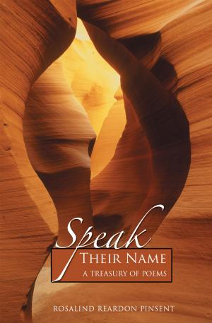 Cover of the book Speak Their Name by John Visser