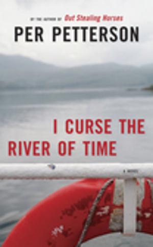 Cover of the book I Curse the River of Time by Katie Ford