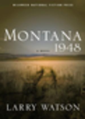 Cover of the book Montana 1948 by Anosh Irani