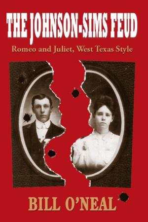 Book cover of The Johnson-Sims Feud