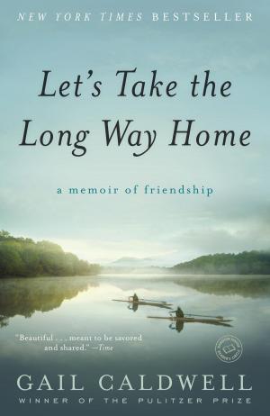 Cover of the book Let's Take the Long Way Home by Julie Haas Brophy
