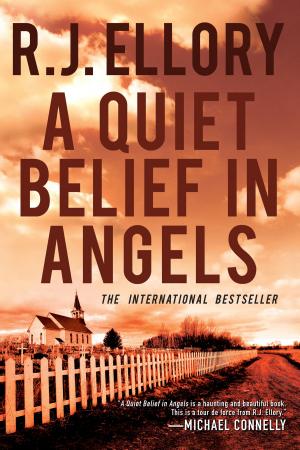 Cover of the book A Quiet Belief in Angels by Tom Angleberger